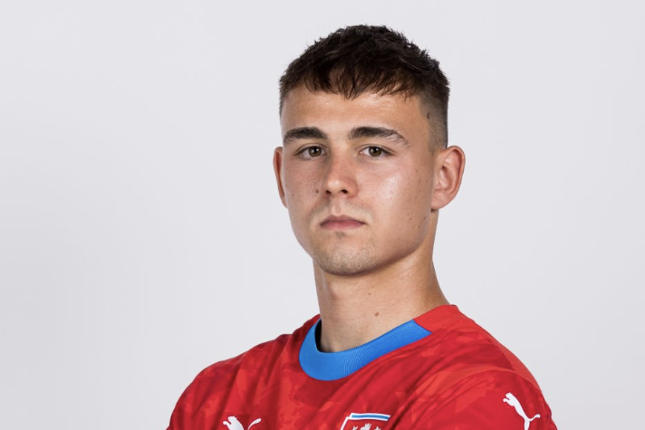 捷克球员在国际赛事中表现神勇