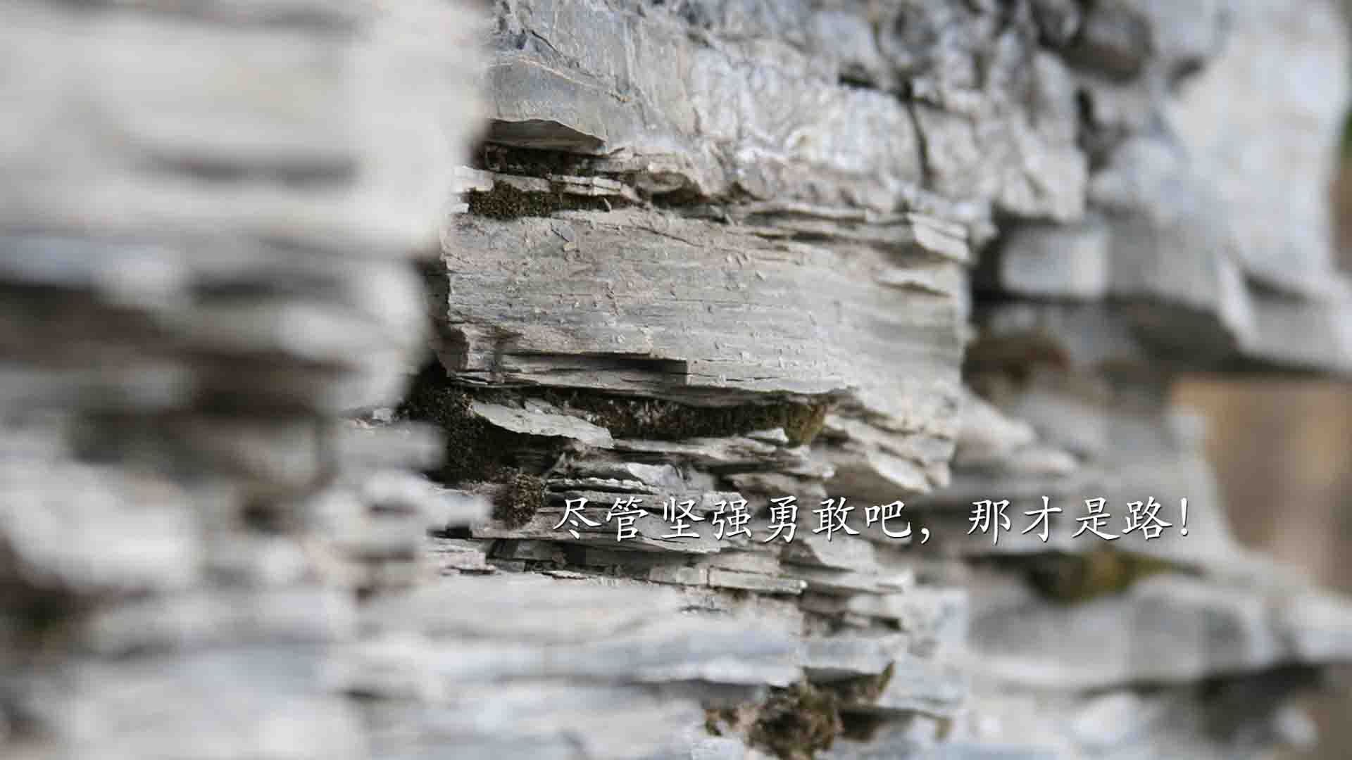 强压乌克兰！洪都拉斯凭借巴雷拉关键一击赢得历史性胜利