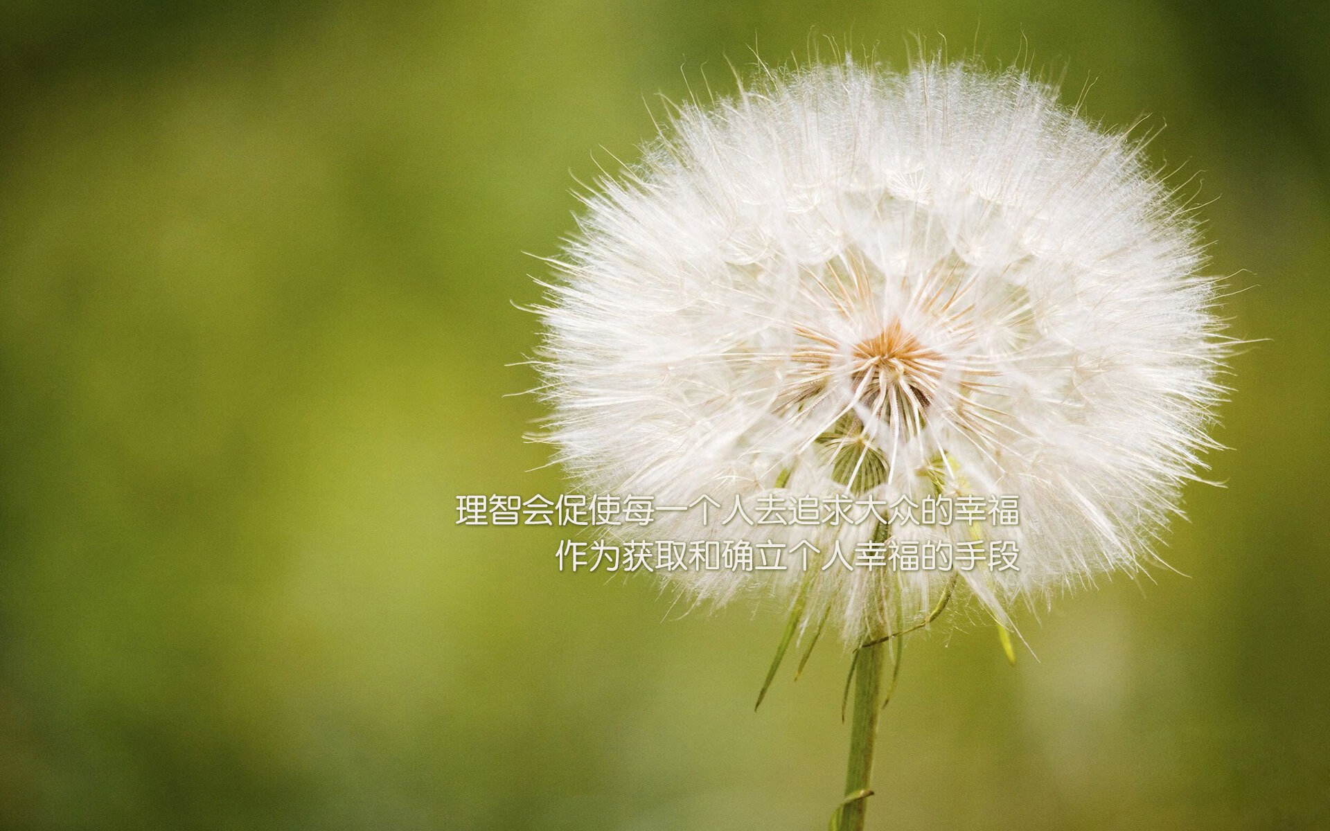 最后的太阳，当抢七之夜点燃冰血太阳德文·布克