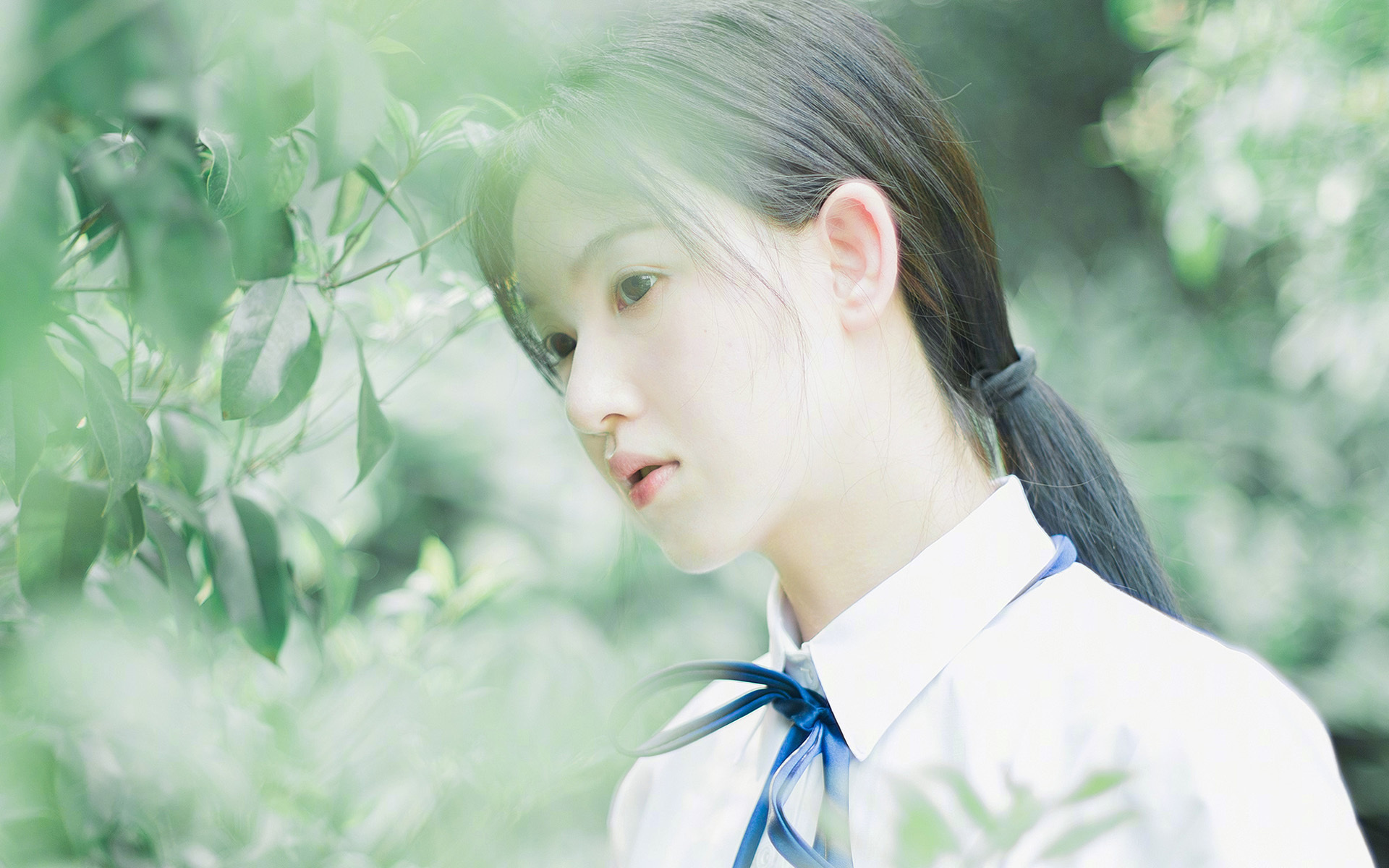 开云体育在线-无争议的全场最佳，厄德高助威尔士险胜新西兰