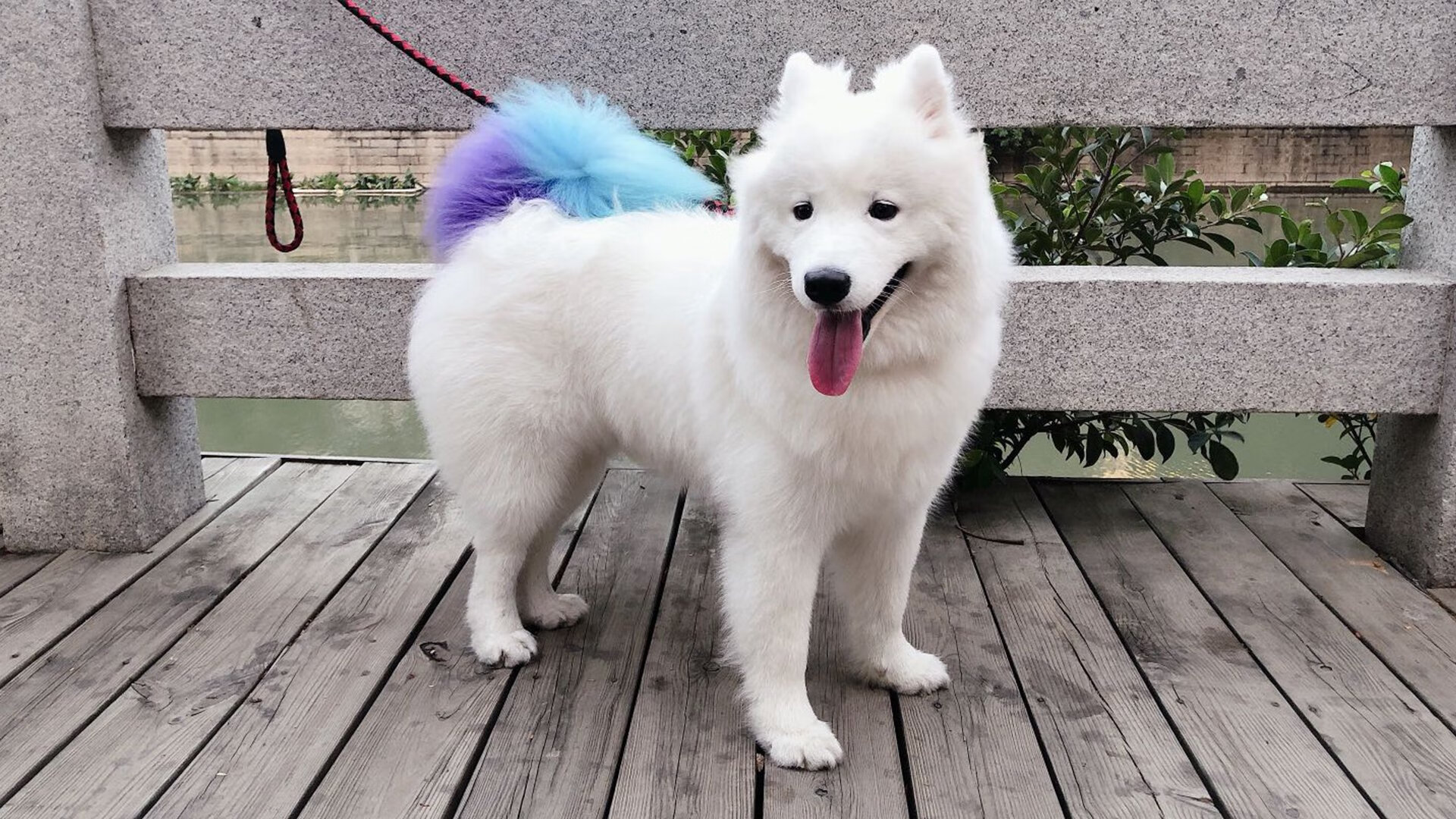 开云体育在线-改写剧本的人，拉梅洛用95分钟的星光，撕裂了所有预言