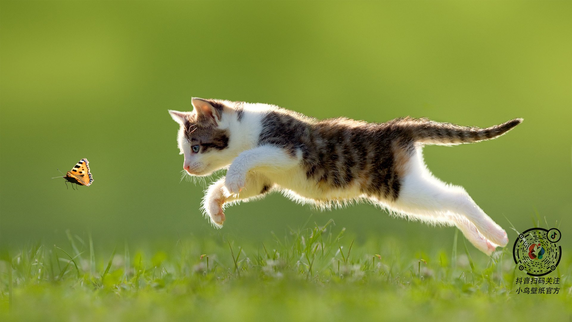 铁壁与刀锋，当个人英雄主义遇上团队逆袭的唯一性