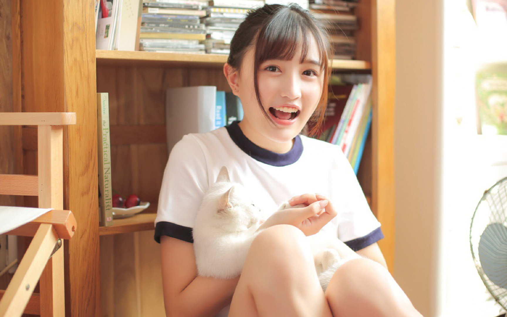 夜幕下的极速艺术,福克斯在F1街道赛的完美乐章