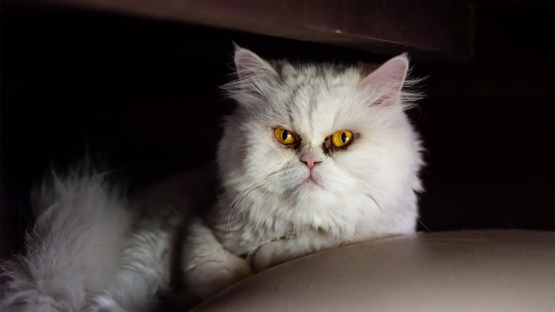 开云体育官网-维度错位的竞技日，当山西队正面击溃雷霆，欧文在F1巴林站接管比赛