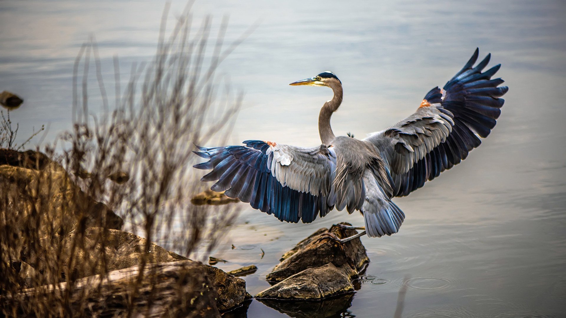 开云体育APP下载-深红终局，他用掌纹为渡鸦铺就通往秘鲁硝石的路