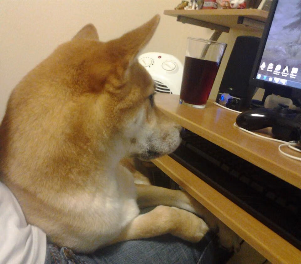 孤鹰啸风城，当英格拉姆的沉寂血脉点燃猎杀时刻