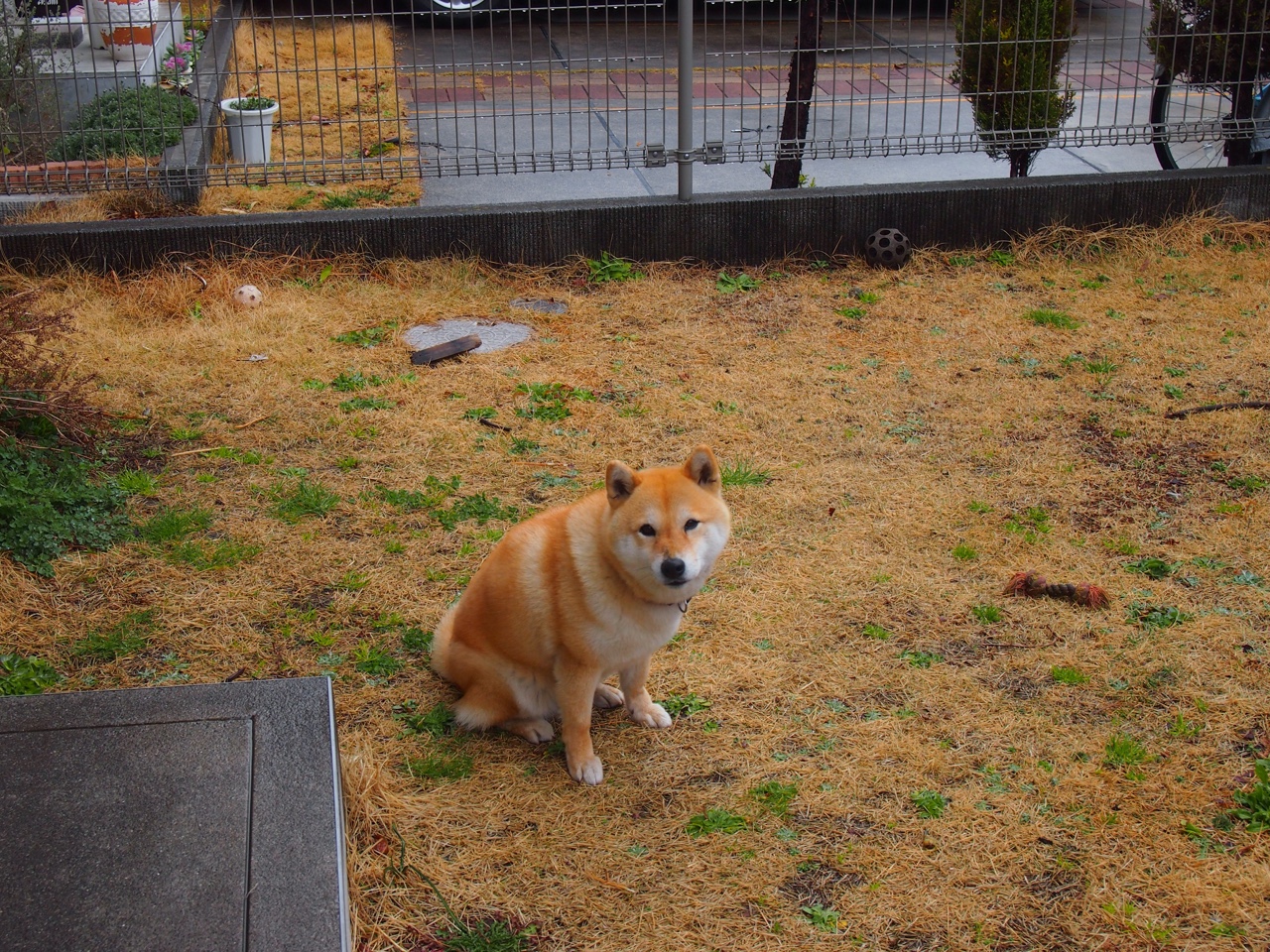 孤星与群狼，当坎特撕碎战术板，哥伦比亚碾碎预言