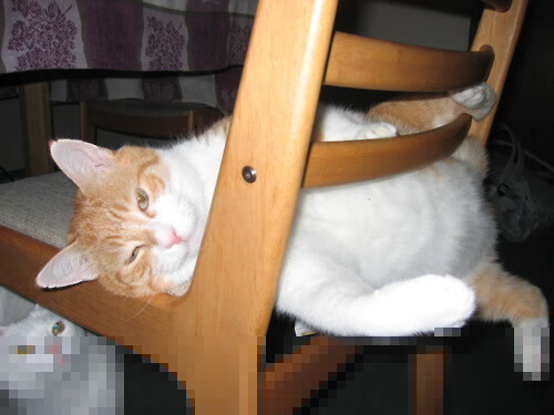 广东队跨越领域大胜雷霆！莫兰特成关键先生重塑联盟格局