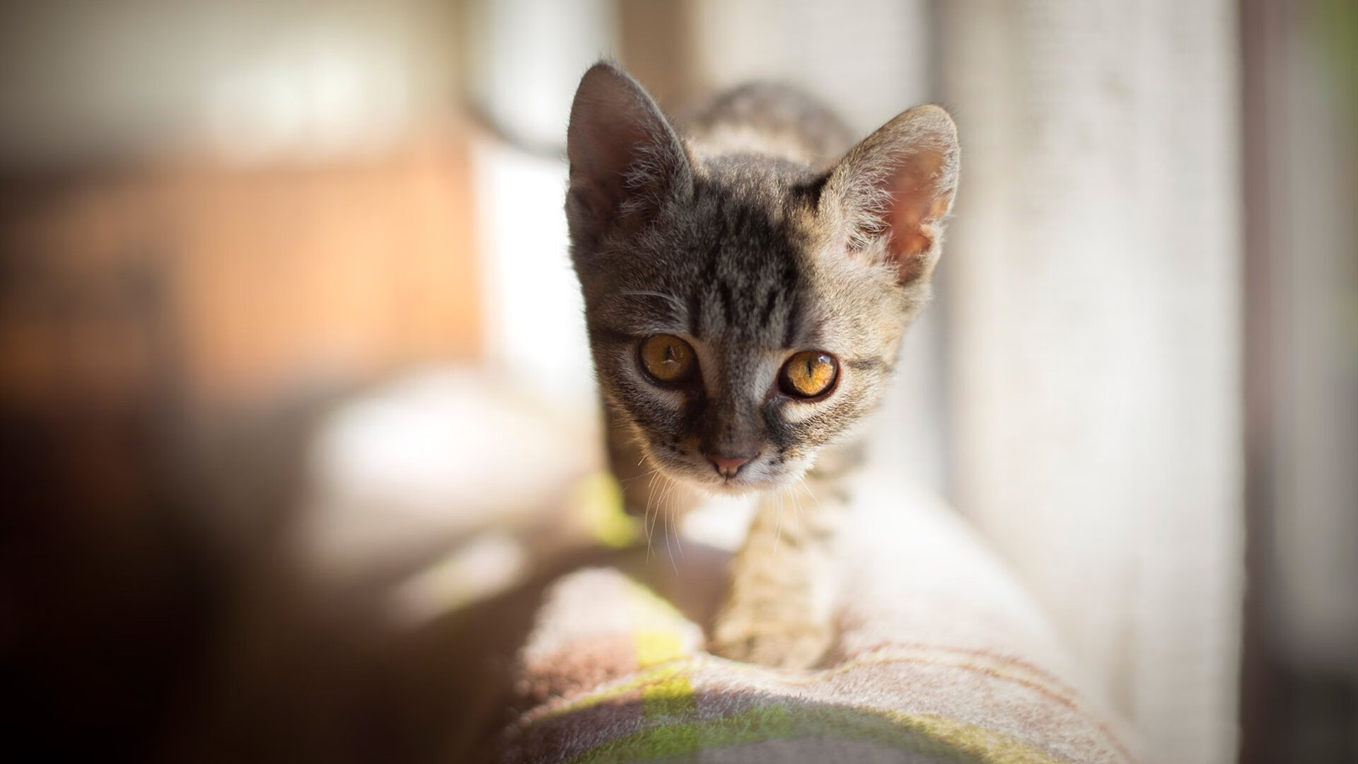 撕裂黑夜的两种狂想，当莫兰特在欧冠半决赛制造核爆