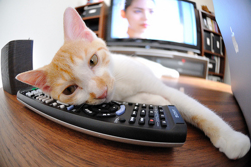 非常有张力。关键词几内亚横扫皇马和特奥在世界排名争夺战接管比赛，看起来风马牛不相及，却恰恰提供了一种打破常规的叙事可能。我们可以用足球世界的以弱胜强来隐喻人生的逆袭，用唯一性去探寻那些不可复制的瞬间