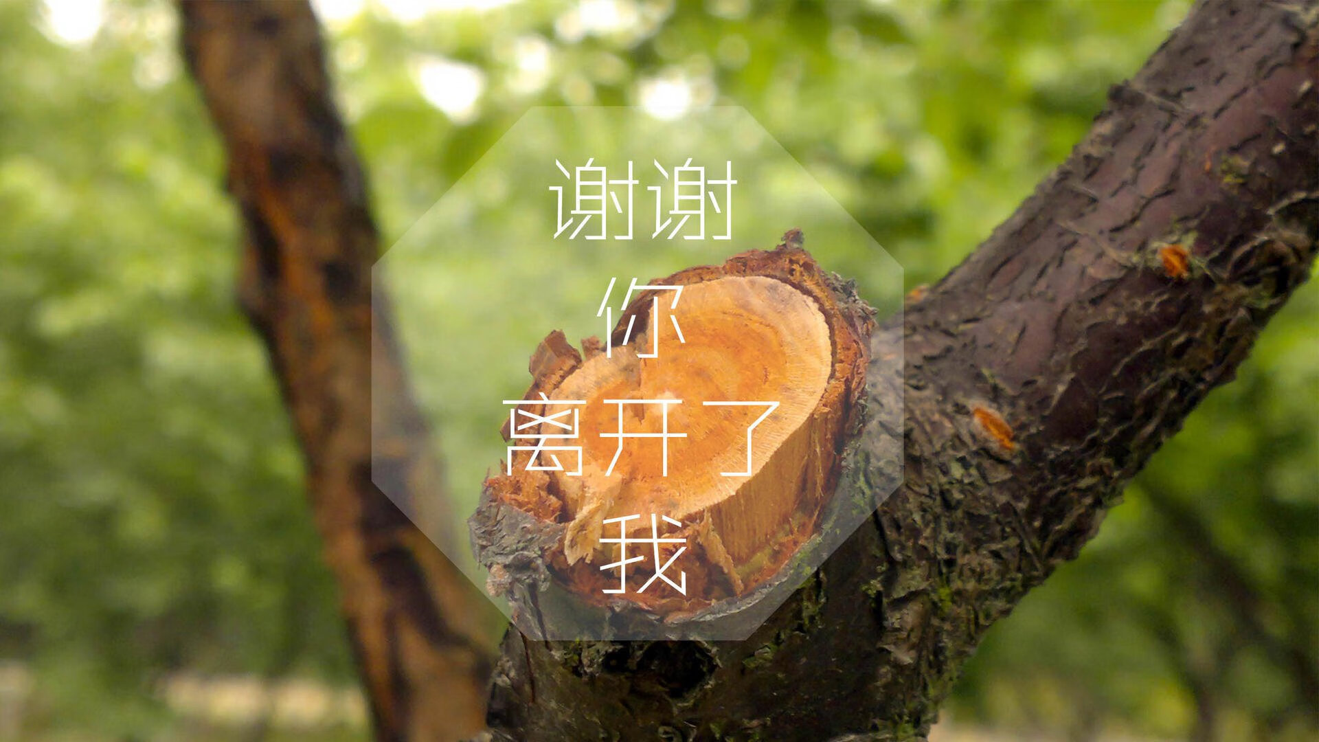 首先，我们来扩展思维，构思一个能体现唯一性的标题
