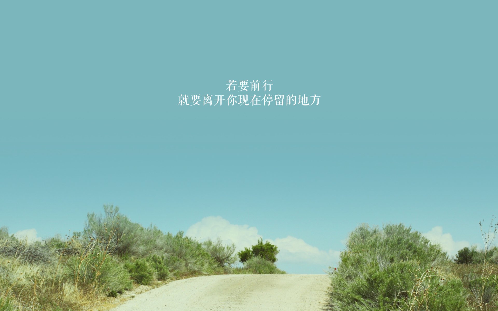 独步天下,2026世界杯揭幕战,奥地利如何以默契之剑横扫阿联酋,拉什福德领衔书写唯一传奇