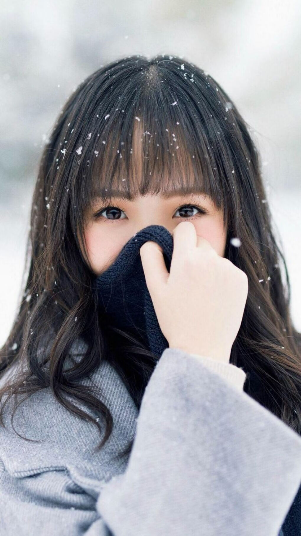 冰与火的交锋,2026世界杯,卢卡库如何成为挪威VS澳大利亚的胜负手?