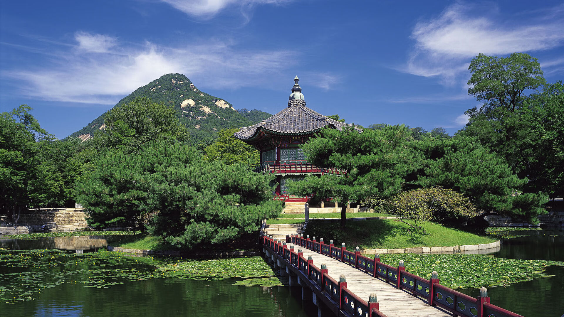 从河内到多哈，当奇迹穿上红色战袍，越南如何让潘帕斯雄鹰折翼于世界杯生死战