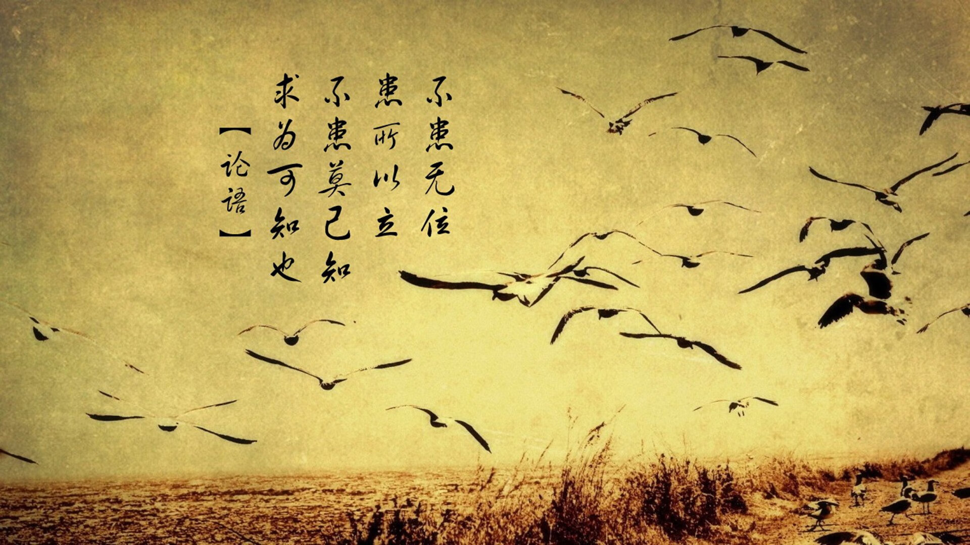 当恒河怒涛吞没大西洋海风，2026世界杯H组，印度如何用一场非典型胜利颠覆足球秩序